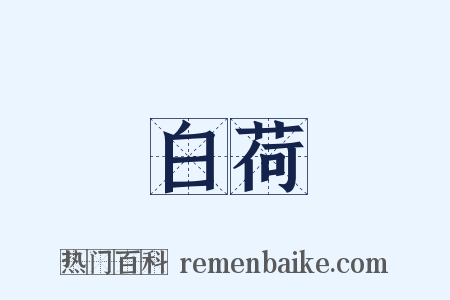白荷是什么意思的图片